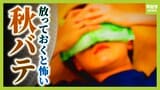 「休んでも回復しない」それ"秋バテ"かも?急に涼しくなって食欲不振・頭痛などの症状が...今日からできる「自律神経をサボらせない」予防法とは?|TBS NEWS DIG
