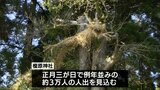 全長6ｍ 「龍」に見立てた大縄飾り　日南市･榎原神社で来年の干支にちなみ　|　MRTニュース ｜ ＭＲＴ宮崎放送