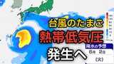 【台風情報】台風のたまご「熱帯低気圧」が今夜（25日）発生か　今後の進路、日本への影響は？25日（月）～6月2日（火）までの天気シミュレーション【気象庁 25日最新情報】|TBS NEWS DIG