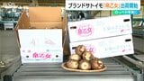 「のっぺ、芋煮、おでんにもおすすめ」ブランド里芋「帛乙女」出荷始まる 新潟・五泉市 | 新潟のニュース・天気|BSN NEWS|BSN新潟放送