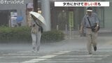 叩きつけるような雨 前線の影響で大気不安定に 夕方まで40ミリの激しい雨も 富山 | 富山のニュース|天気・防災|チューリップテレビ