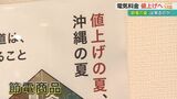 今年の夏は“節電の夏”?家計に大打撃の電気料金の値上げ 夏場を前に家庭で出来る対策は⁉|TBS NEWS DIG