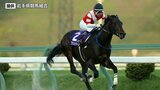 岩手競馬の年度代表馬にフジユージーン選出|TBS NEWS DIG