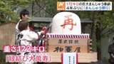 172キロの巨大まんじゅう登場 郡山市で4年ぶりの「まんじゅう祭り」|TBS NEWS DIG