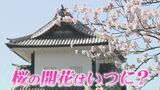 石川の冬を救う2つのアイテム そしてサクラの開花は？　|　石川県のニュース｜MRO北陸放送