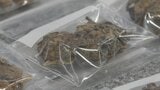「黒いバッグに大麻」事故で駆け付けた警察官が発見 19歳ら3人を麻薬取締法違反の容疑で現行犯逮捕 富山・射水市 | 富山のニュース|天気・防災|チューリップテレビ