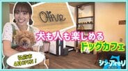 「犬も家族の一員」弘前市にオープンしたドッグカフェ『オリーブ』人も犬も笑顔にする理由【わっち!!シン・アオモリ】　|　青森のニュース│ATV NEWS│青森テレビ