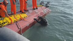 金門島付近で中国の漁船転覆事故について協議　中国台湾双方「合意に達した」| TBS CROSS DIG with Bloomberg