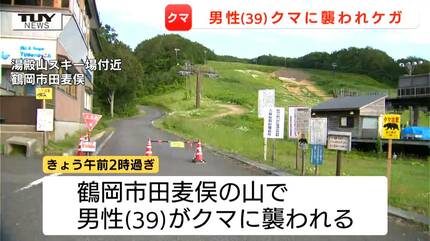 動画】未明から山菜採りに山中で39歳の男性がクマに襲われる クマ