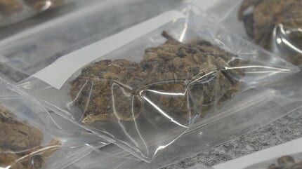 黒いバッグに大麻」事故で駆け付けた警察官が発見 19歳ら3