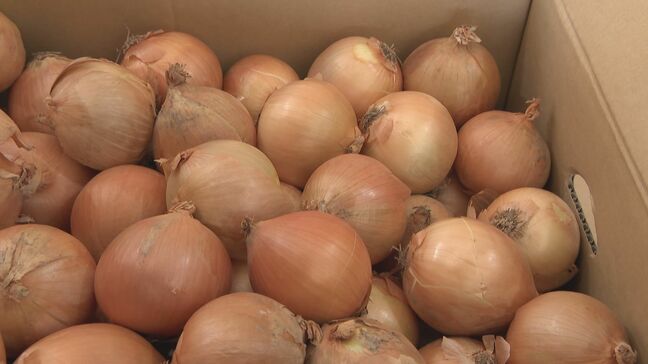 野菜のサイズが小ぶりに… 玉ねぎは数%しか出回らないSサイズが増加 「大不作」で卸売価格6~7割増しに キャベツは昨シーズン価格高騰もことしは平年並み|TBS NEWS DIG