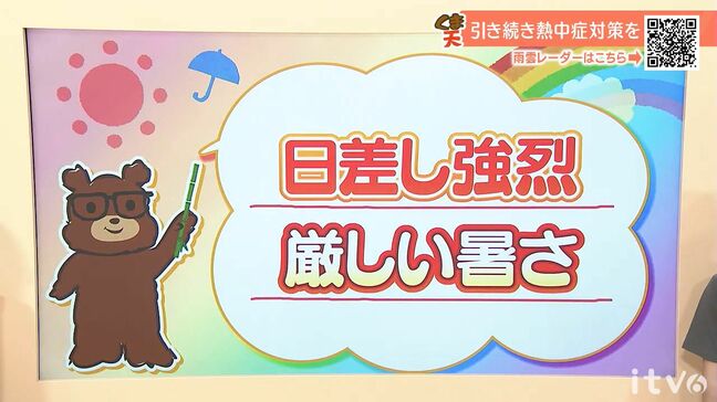 29日(金)も日差しが強烈 厳しい暑さ続く 愛媛|TBS NEWS DIG