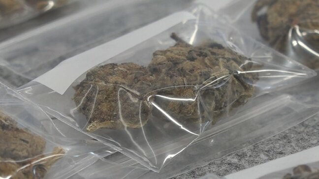 「黒いバッグに大麻」事故で駆け付けた警察官が発見 19歳ら3人を麻薬取締法違反の容疑で現行犯逮捕 富山・射水市|TBS NEWS DIG