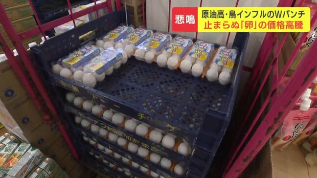 「ほぼ卵が命の店なので営業できなくなってしまう」止まらぬ価格高騰に洋食店悲鳴 円安とガソリン高騰の影響で卵の価格も急上昇 そこへ鳥インフルエンザ殺処分の影響も懸念|TBS NEWS DIG