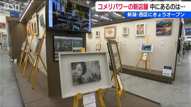 住まいと作品をつなぐ“ギャラリー”をホームセンターに併設「家の中に潤いを」新潟市西区|TBS NEWS DIG
