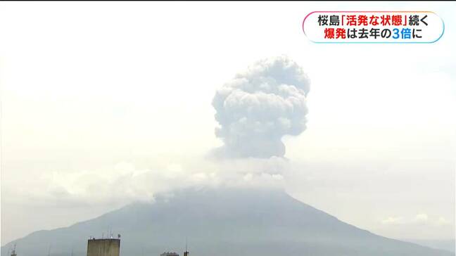 桜島噴火これまで4回　今年の爆発はすでに去年の3倍「山体の膨張継続」　鹿児島|TBS NEWS DIG