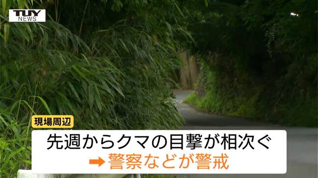 観光地・山寺周辺で先週からクマの目撃相次ぐ　けさも道路上に出没　去年と比べ県内市街地での目撃も増加（山形）|TBS NEWS DIG