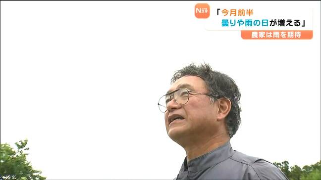 「何日、空を見上げているのか、きょうも降らない、きょうも降らない」農家“雨不足”に悲鳴 トウモロコシ収穫遅れる 宮城・登米市|TBS NEWS DIG