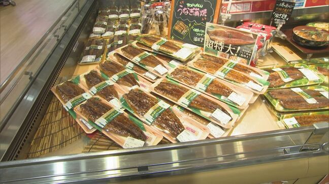 今年は「うなぎ」が安い　土用の丑の日を前に商戦本格化|TBS NEWS DIG