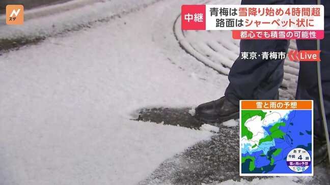雪の交通影響　首都高・東名高速道路などで大規模な「予防的通行止め」一般道で混雑発生　東京・青梅市では路面はシャーベット状に|TBS NEWS DIG
