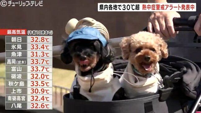 熱中症警戒アラート発表中 すべての観測地点で３０℃超え 富山|TBS NEWS DIG