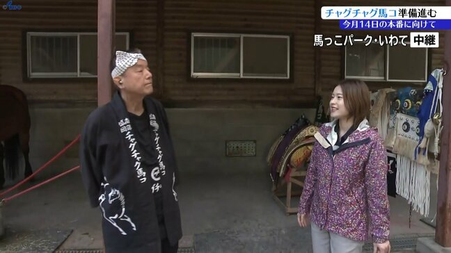 チャグチャグ馬コ本番へ準備　馬っこパーク・いわてから中継　岩手・滝沢市|TBS NEWS DIG