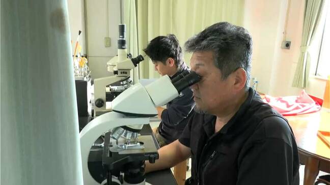 養殖ブリ被害2万匹超 鹿児島湾の赤潮、県が広範囲で水質調査|TBS NEWS DIG