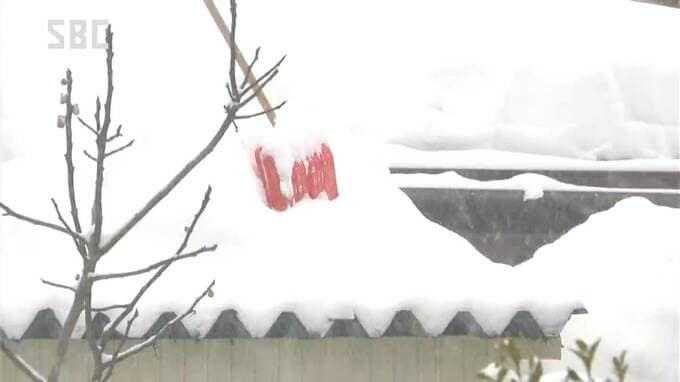 雪下ろし中の転落や落雪で5人が死亡、40人が重軽傷　全国の雪による死者は60人に　消防庁が被害まとめ　新潟の死者は13人、北海道、青森でも9人死亡　住宅被害は305棟に　|TBS NEWS DIG