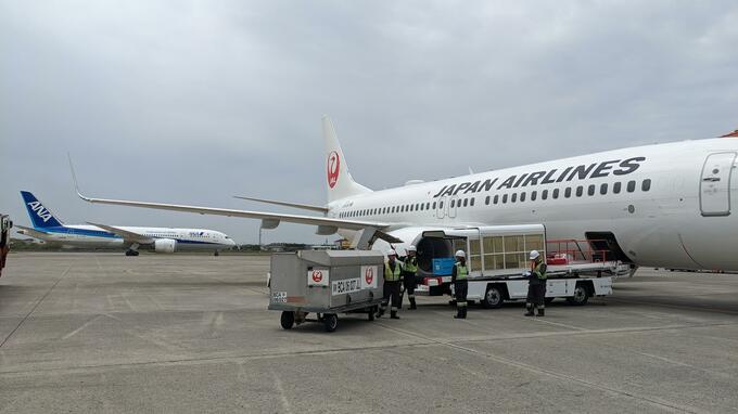 全日空と日本航空 視界不良で遅延や欠航、引き返しの可能性【JAL・ANA】 | 愛媛のニュース - Nスタえひめ|あいテレビは6チャンネル