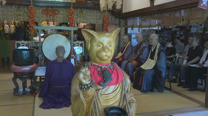 地域で最も遅い盆供養　猫寺で知られる雲林寺「仕事の都合で帰れない」などの声を聞き檀家ではない人の参列も受け付け　山口・萩|TBS NEWS DIG