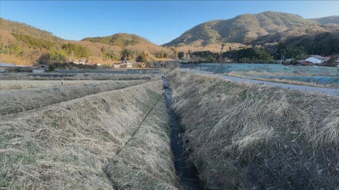 「車が川に転落した」車が道路横の5メートルほど下を流れる川に転落・転覆　94歳の男性が死亡　死因は交通事故によるものと判明　島根県邑南町|TBS NEWS DIG