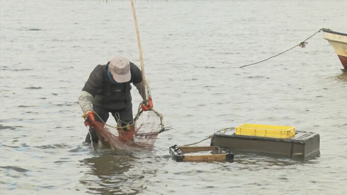 湖が沼になる…半世紀で水深が4m→1.5ｍに　原因は「富栄養化」いったい何が起こっている？|TBS NEWS DIG