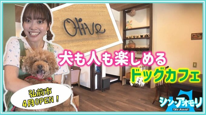 「犬も家族の一員」弘前市にオープンしたドッグカフェ『オリーブ』人も犬も笑顔にする理由【わっち!!シン・アオモリ】|TBS NEWS DIG