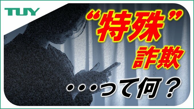 “特殊”詐欺とは？　被害が拡大している特殊詐欺って…よく聞くけど、明確な定義を知っていますか？|TBS NEWS DIG