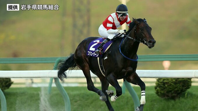 岩手競馬の年度代表馬にフジユージーン選出　|　IBC NEWS | IBC岩手放送