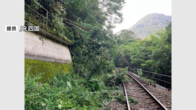 倒木と特急列車が接触、一部区間で運転見合わせ（JR土讃線）|TBS NEWS DIG
