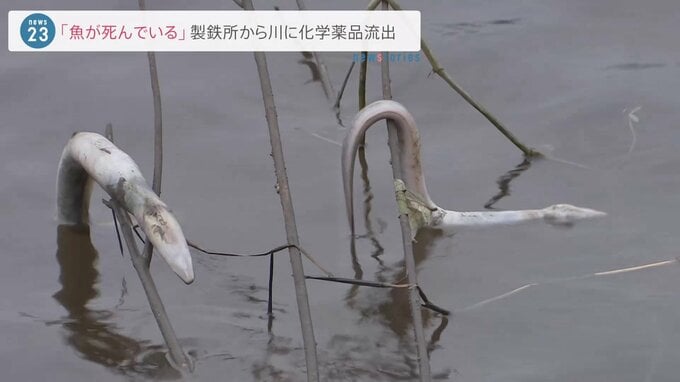 日本製鉄の製鉄所から川に化学薬品流出　水が赤茶色に変色し魚死ぬ　千葉・君津市|TBS NEWS DIG