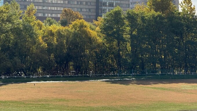 【クマ情報】札幌市中央区の豊平川沿いでクマ2頭を目撃 散歩中の女性の約200m先に…クマは河川敷の茂みに立ち去っていく | 北海道のニュース|HBC北海道放送