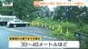 3年前も同じ場所で死亡事故…高さ30～40mの崖下に車ごと転落し47歳男性死亡　ブレーキ痕確認されず　国道112号（山形・鶴岡市）　|　山形のニュース│TUYテレビユー山形