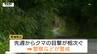 観光地・山寺周辺で先週からクマの目撃相次ぐ　けさも道路上に出没　去年と比べ県内市街地での目撃も増加（山形）　|　山形のニュース│TUYテレビユー山形