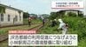 JR吉都線の利用促進へ　小林市とJR九州が線路沿いの草の伐採作業　|　MRTニュース ｜ ＭＲＴ宮崎放送