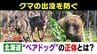 【クマ対策】「人里は恐ろしい」とクマに教え込む“ベアドッグ”の活動に同行！駆除を最後の手段にするため、今求められる「予防的対策」の現場　|　北海道のニュース｜HBC北海道放送