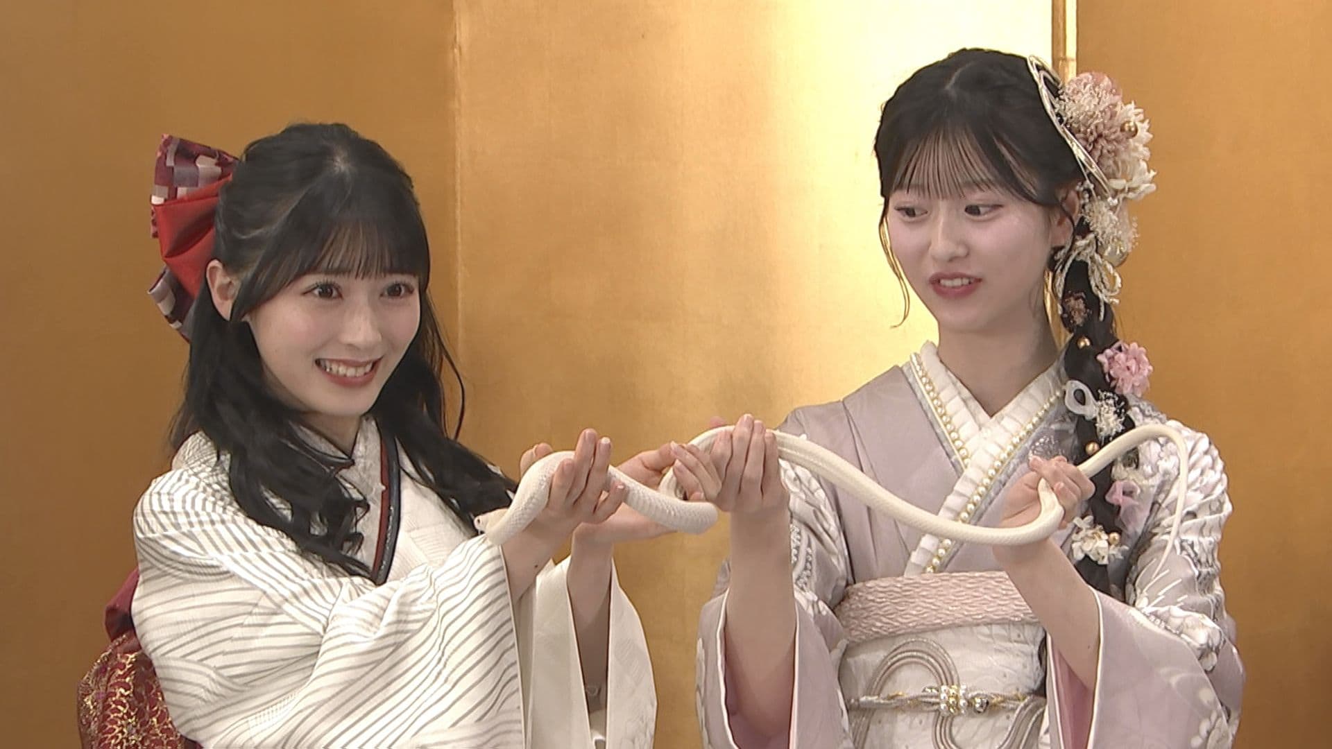AKB48】蛇を豪快に掴む佐藤綺星「人を支えられる存在になりたい