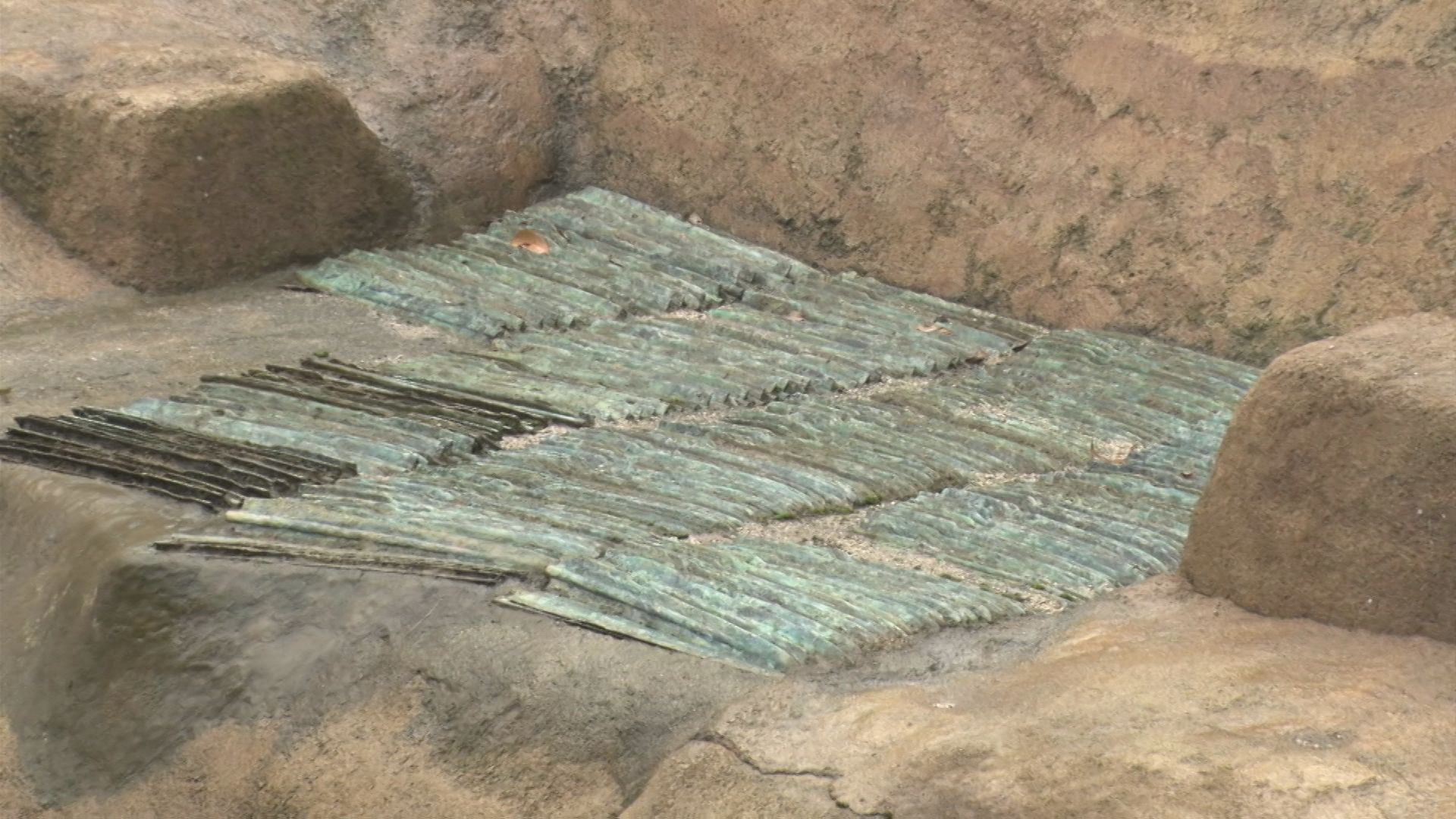 img_23b6e66c913ada72f33b1b52b1