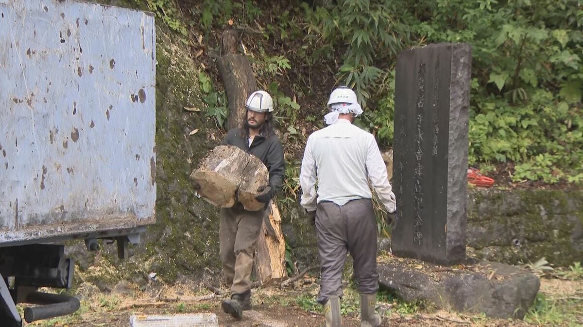 長野市の戸隠神社中社で木が倒れる 40代のオーストラリア人女性が腕の骨を折る大けがか 当時、雷を伴った激しい雨が降っていた | TBS ...