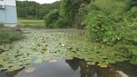 【ため池で死亡】捜索中の64歳男性が遺体で見つかる 司法解剖で死因は溺死と判明、警察が当時の状況を調査 富山・氷見市|TBS NEWS DIG