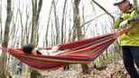 森で遊び、触れ、味わう 天蓋山で「GotoForest」 森を楽しみ身近な自然を知るきっかけに　新潟・村上市【森を守ること・第14話】　|　新潟のニュース・天気｜BSN NEWS｜BSN新潟放送