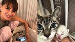 【 吉川ひなの 】保護猫が5匹の仔猫を出産「奇跡の瞬間を見せてくれてありがとう」子どものバースデーと偶然重なる|TBS NEWS DIG