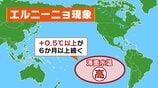 【エルニーニョ現象】冬にかけて続く確率「100％」暖冬や勢力の強い台風が懸念　ことしは“スーパーエルニーニョ”発生のおそれも…過去には日本に甚大な被害もたらす　気象庁が監視速報を発表　|　MBSニュース | 関西の最新ニュースを分かりやすく。