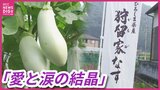 特産「狩留家なす」から広がる地域の夢　芸備線の駅にレストラン構想も　広島市安佐北区　|TBS NEWS DIG